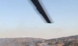 Koçarlı'da orman yangını