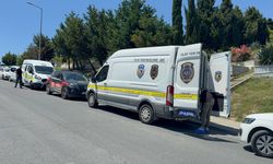 Mezarlıkta bebek cesedine rastlandı