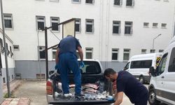 Samsun Açıklarında Kaçak Kalkan Balığı Avcıları Yakalandı