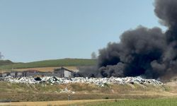 Tekirdağ'da korkutan tesis yangını