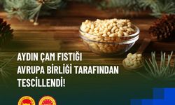 Aydın Çam Fıstığına AB'den onay