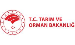 BAKIM VE ONARIM HİZMETİ ALINACAKTIR