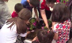 Beypazarı baharın renkleriyle buluştu