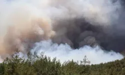 Bilecik’te Köyler Tahliye Edildi, Yangın Durmak Bilmiyor!