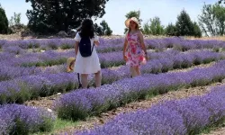 Tatilde Yeni Trend: Tarım Turizmi