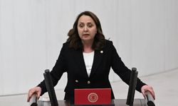 CHP'li Dinçer'den sağlık sistemindeki cinsiyetçi yaklaşımlara sert tepki