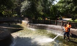 Kuğulu Park'ta yaz hazırlığı