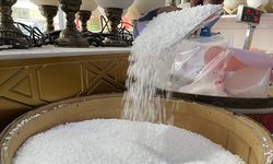 Çankırı'da "Tuz İhtisas Çalıştayı"
