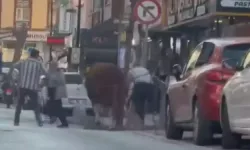 İstanbul'da kaçak kurbanlık boğa