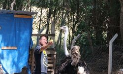 Kafeden Çiftliğe Uzanan Yolculuk