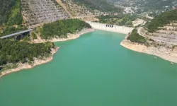 Bartın Irmağı'nda balık ölümleri çevreye ağır koku yaydı