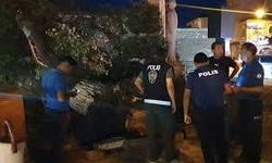 Ağaç devrilmesi sonucu 1 kişi yaralandı