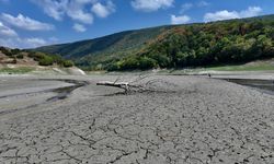 Batı Karadeniz'de kuraklık alarmı