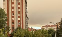 Bilecik'teki yangın Eskişehir'e ulaştı
