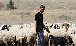 Mühendislikten Tarıma: Diyabet Tanısı Hayatını Değiştirdi