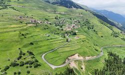 Taşköprü Yaylası doğaseverlerin uğrak noktası haline geldi!