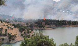 Adıyaman Merkez'de orman yangını