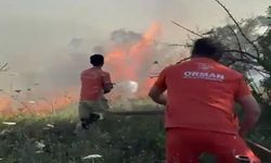 Ağaçlık alanda yangın