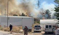 Antalya'da Çalılıkta Başlayan Yangın Ormana Sıçradı