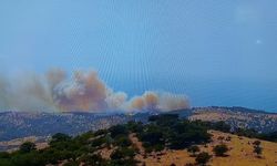 Ayvacık'ta orman yangını
