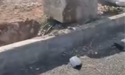 Batman'da feci kaza 2 ölü, 4 yaralı