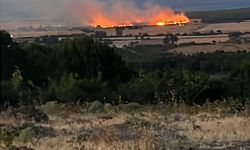 Çanakkale'de Tarım Arazisi Yandı