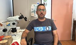 Dedektör köpekler bu sefer sınır kapılarında zararlı böcekleri belirleyecek