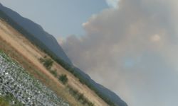 Doğanhisar'da orman yangını