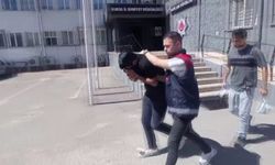 Dolandırıcıyı oğlu sandı
