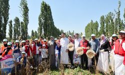 Gönüllü gençler hasat desteği!
