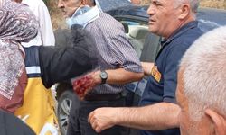 Gümüşhane'de korkutan araç kazası