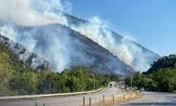 Karabük'te ormanı alevler sardı