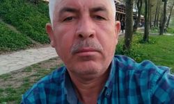 Kestiği ağacın altında kaldı