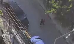 Köpeğe Taşlı ve Sopalı Şiddet
