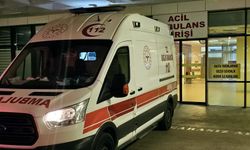 Korkunç Yangın Ahırda Çıktı!