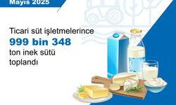 Mayısta tavuk eti üretimi arttı