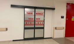 Orman yangınına müdahale ederken ağır yaralandı