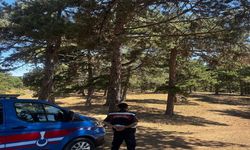 Sakarya'da yangın tehlikesine karşı havai fişek yasağı