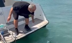 Saros’ta Ender Tür: Kırlangıç Balığı Oltaya Takıldı