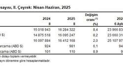 TÜİK: Turizm geliri 2'nci çeyrekte yüzde 8,4 arttı