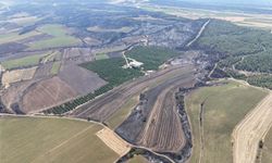 Yangın Sınır Tanımadı: Çanakkale’de 85 Hektar Orman Zarar Gördü!