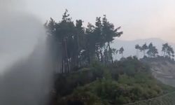Yayladağı'na sıçrayan yangın kontrol altında