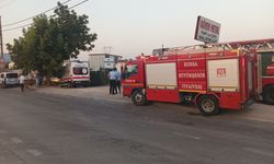 Yıldırım'da tesisi alevler sardı