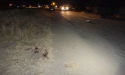 Yozgat'ta Silahlar Konuştu
