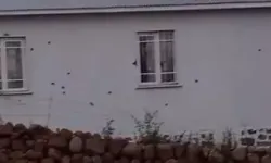 Bingöl'de 2 eve silahlı saldırı düzenlendi