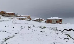 Rize'ye temmuzda kar yağdı