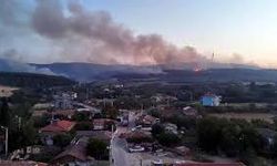 Tekirdağ'daki orman yangını devam ediyor