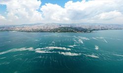 Müsilaj Gitti, Yeni Tehdit Geldi