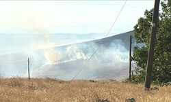 Elazığ Kovancılar’da Otluk Alanda Yangın