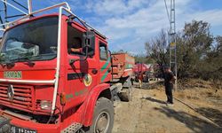 Bursa Mudanya'da Çıkan Yangın Söndürüldü